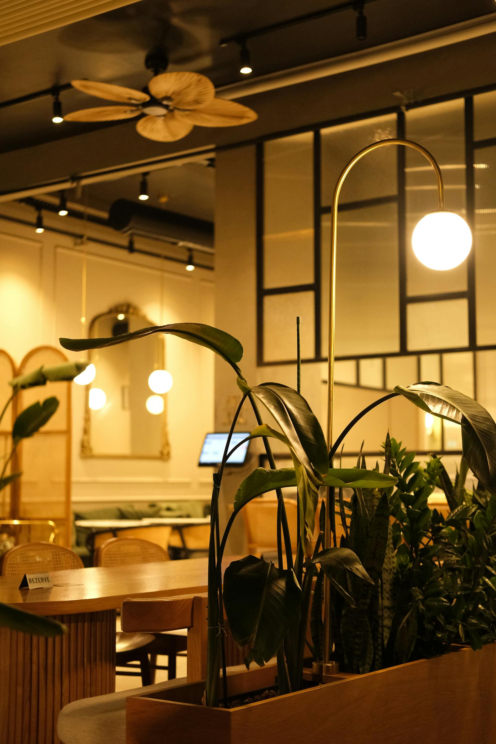 Restaurant interior with plants